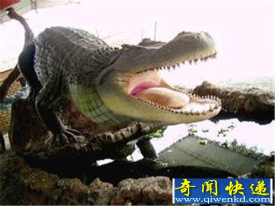 史前巨鳄普鲁斯鳄 竟能捕杀恐龙?