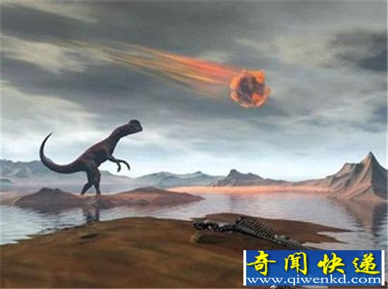 6500万年前恐龙化石揭秘恐龙灭绝真相!