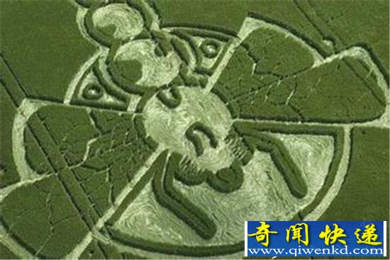 Ȧ ʥɯع!