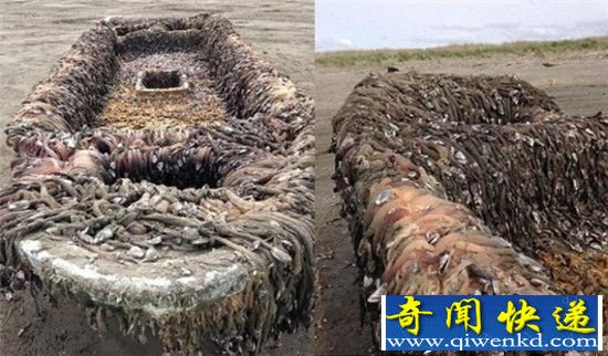 日本惊现“幽灵船” 载有大量尸体!