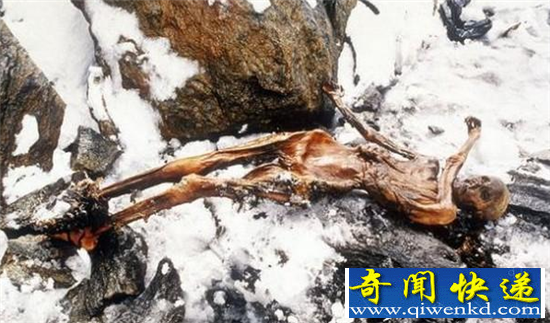 5000年神秘木乃伊有望复活 冰人奥兹揭秘