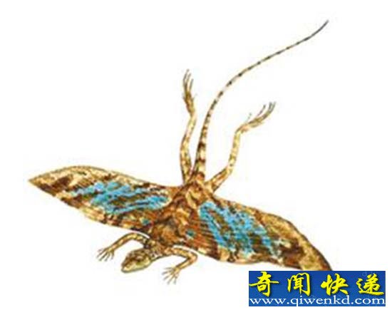 惊现会飞蜥蜴化石 疑发现新物种
