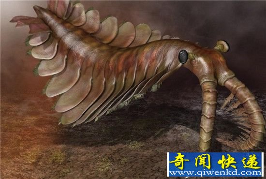 世界十大远古生物大盘点 远古生物大灭绝!