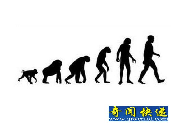 人类进化之谜:数亿年前祖先竟然长有触手
