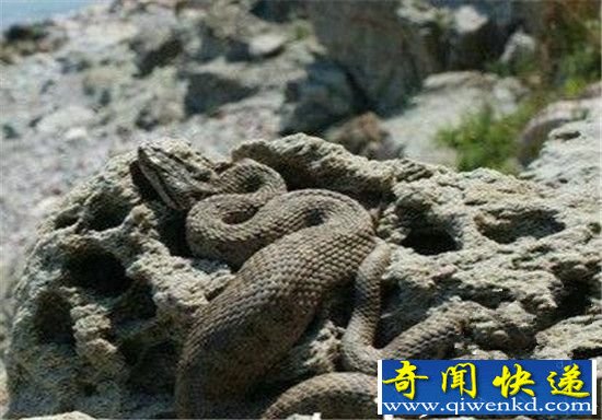 秦始皇陵上榜 世界十大绝密胜境!