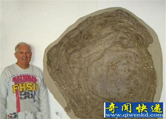 十大远古超级生物大盘点!2.4米长巨型蜈蚣