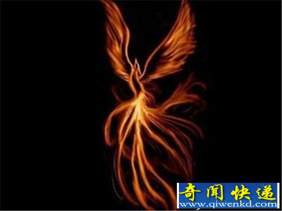 上古六神兽凤凰 寓意“浴火重生”