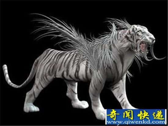 上古六神兽凤凰 寓意“浴火重生”