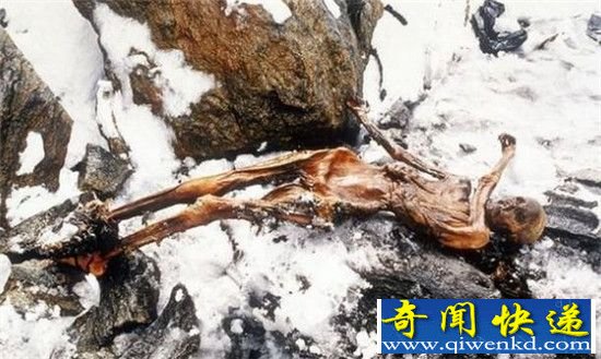 探究木乃伊杀人之谜 法老诅咒在劫难逃