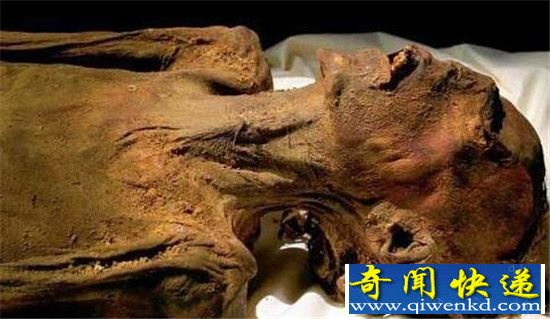 探究木乃伊杀人之谜 法老诅咒在劫难逃