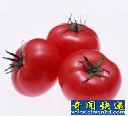 世界文明史上的"十大谎言" 大揭密