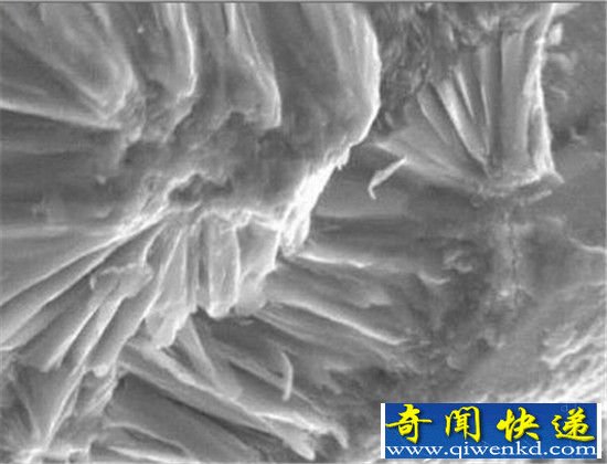 生命起源骇人理论 人类是火星人后裔