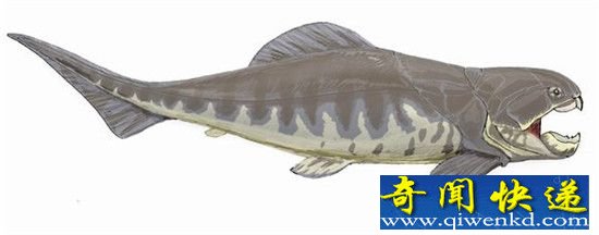 邓氏鱼沧龙剑吻鲨谁最强?盘点十大远古海洋猛兽