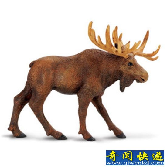 姜子牙坐骑四不像 究竟是何物?