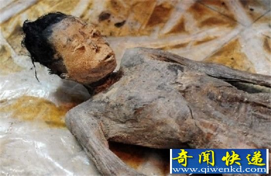 明代女尸宽衣解带后的惊人发现