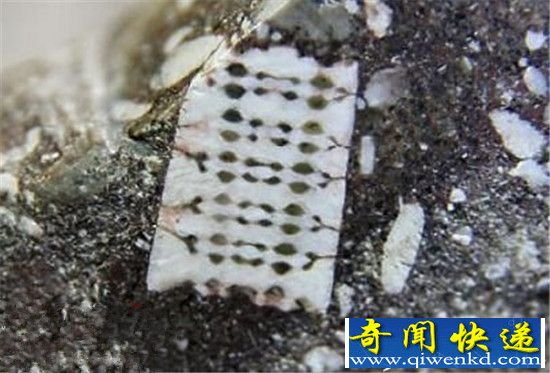 地球史前文明真的存在:芯片化石证明文明轮回