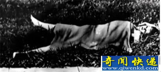 黑色大丽花惨案凶手是谁?揭秘世界十大未破杀人悬案