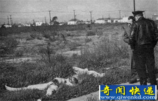 黑色大丽花惨案凶手是谁?揭秘世界十大未破杀人悬案