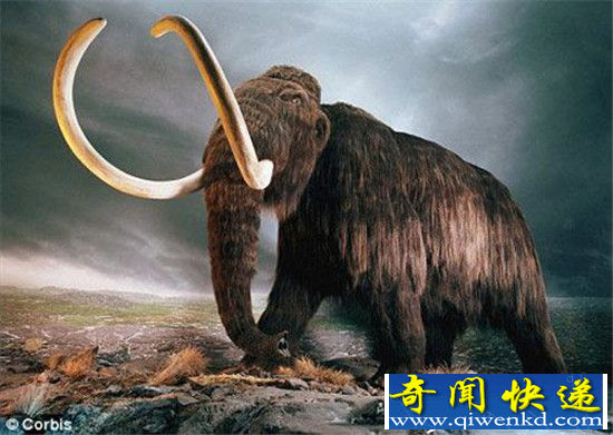 恐龙猛犸象复活会引发灾难?地球已不再适合生存