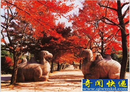朱元璋下葬惊悚一幕:明孝陵竟传来马皇后半夜哭声