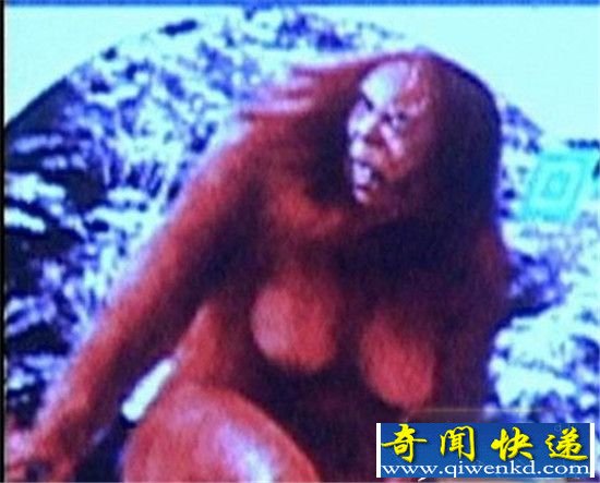 西藏野人掠当地男人做性奴！揭秘西藏野人之谜