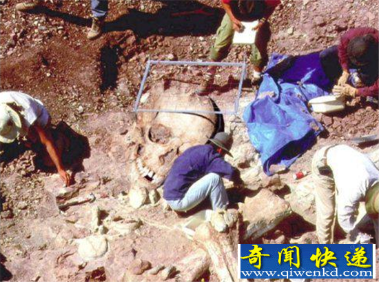 史前巨人族为何神秘消失?真正原因竟是它!