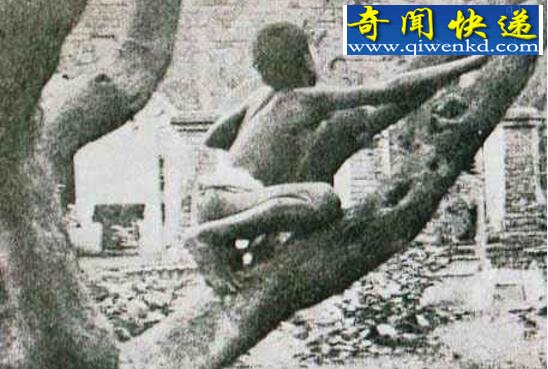 最真实的狼孩图片,关于狼孩的故事大全