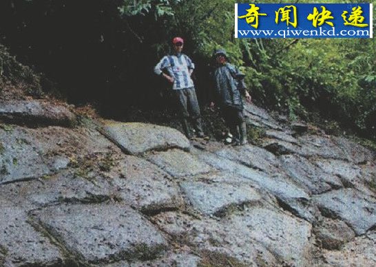 巨人族的消失与亚特兰蒂斯文明之谜
