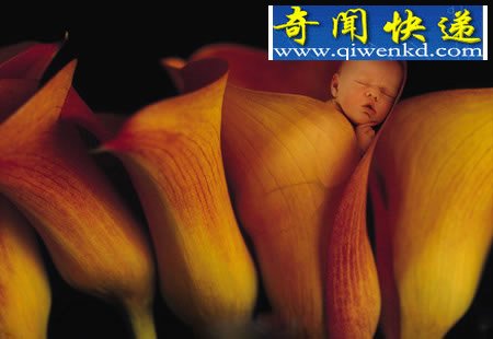 10个惊人证据揭示轮回的存在