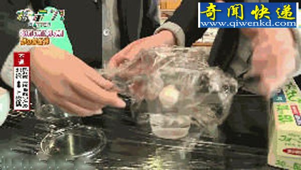 日本学生把鸡蛋打在杯子里 然后就孵出了小鸡