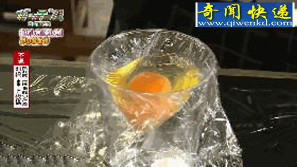 日本学生把鸡蛋打在杯子里 然后就孵出了小鸡