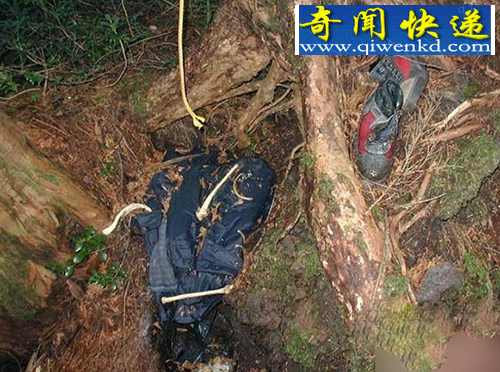樱花季如期而至,日本人的自杀旺季又到了!