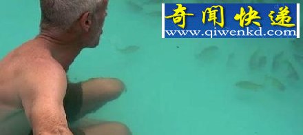 男子走进食人鱼池塘 神奇一幕发生了!