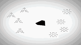 19ѧ 10̫ƽ ׬32