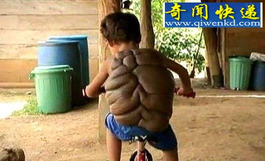 ױкֲ ϳڹǡ