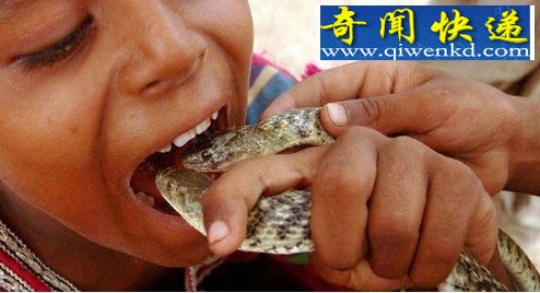 毒蛇当嫁妆!蛇人部落探秘(多图)