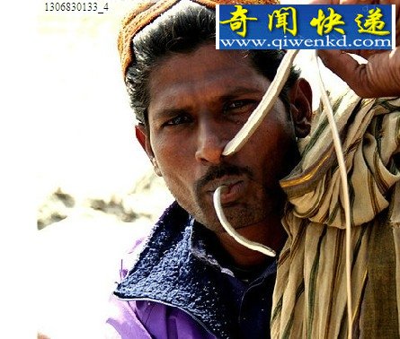 毒蛇当嫁妆!蛇人部落探秘(多图)
