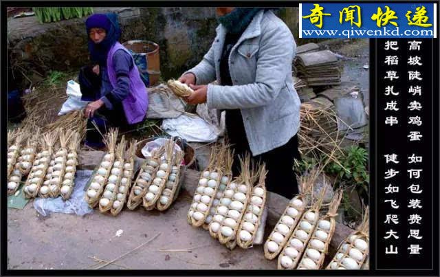云南十八怪，三只蚊子一盘菜（图文详解）