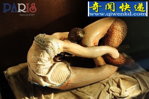 治У̵ֳݡе