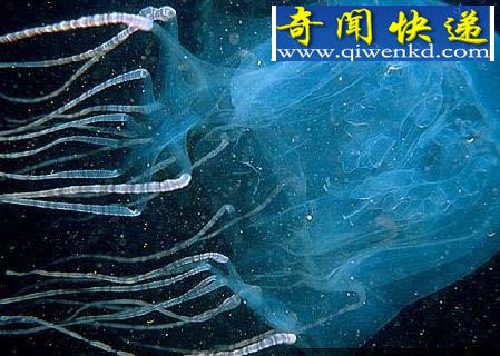全球12大一碰就让人毙命的毒物