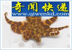 全球12大一碰就让人毙命的毒物