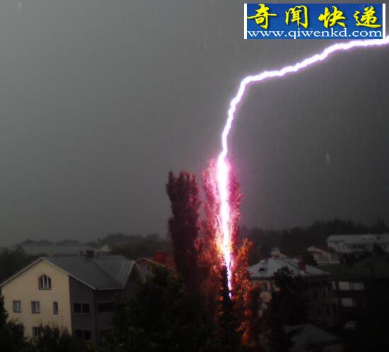 全球九大离奇雷击事件:一人曾七次被闪电击中