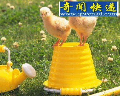 ̵ıȤ