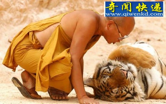 十大震惊全球的人兽同居事件