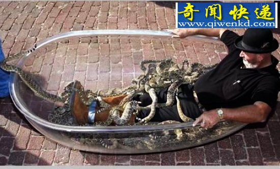 十大震惊全球的人兽同居事件