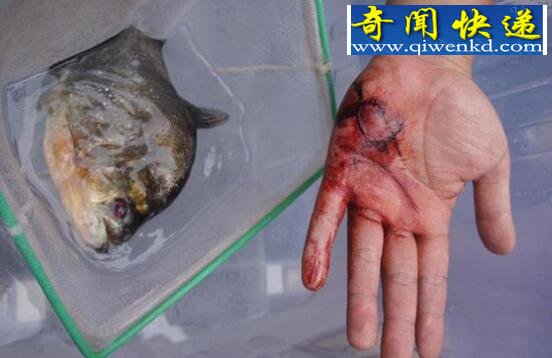 人类灭绝的10种可能,每一种都会带来世界性灾难