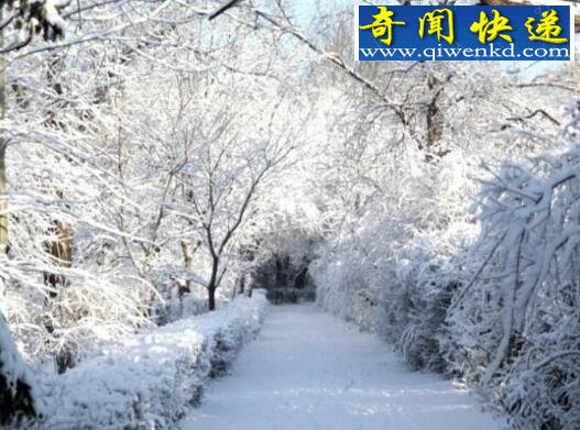 下一个千年极寒在2030年,太阳休眠全球进入冰冷时代