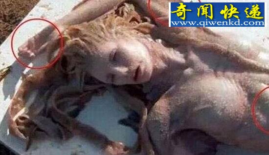 美人鱼真的存在吗,隐匿深海的人类文明