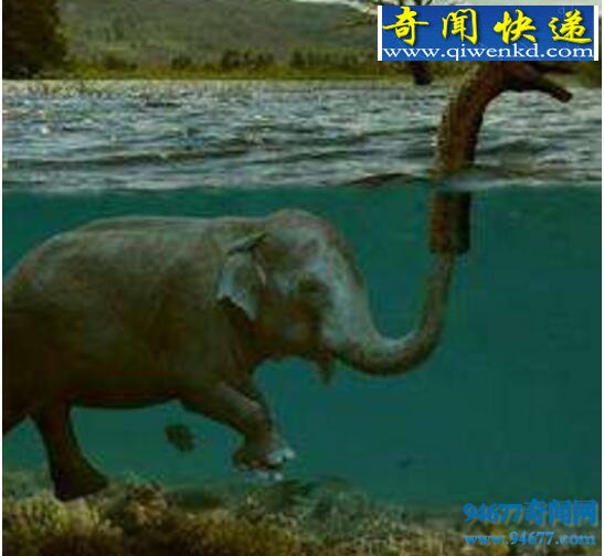 揭秘尼斯湖水怪真相,水怪真实面目竟是大象