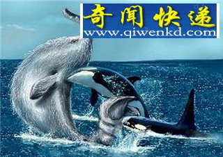 水怪长毛鱼之谜 揭秘传说中的15种海洋怪物